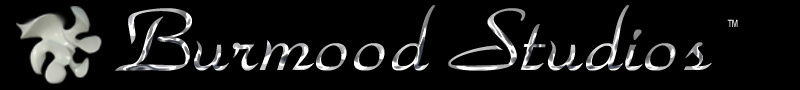 Welcome to Burmood Studios